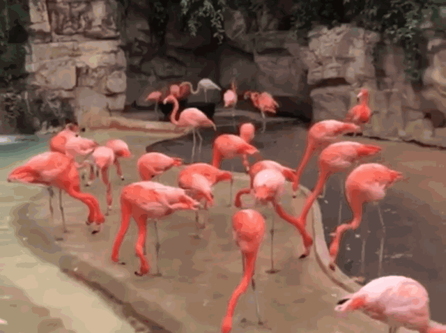 3.gif